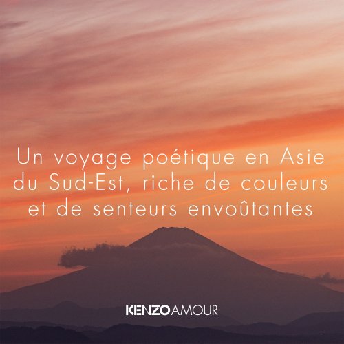 KENZO AMOUR - Eau de Parfum 3352818716008 KENZO AMOUR - Eau de Parfum 3352818716008